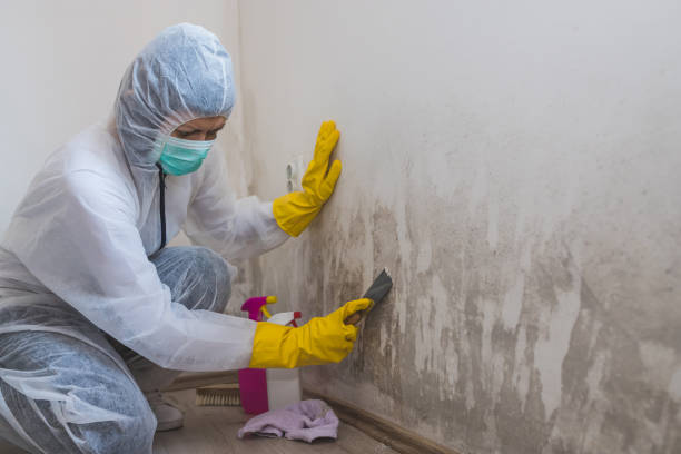 Best Crawl Space Mold Removal  in Longtown, OK