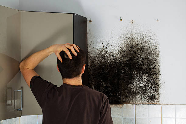 Trusted Longtown, OK Mold Removal Experts